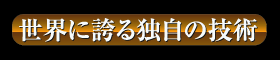 諏訪市・共進・カシメ接合法